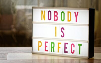 Nobody Is Perfect